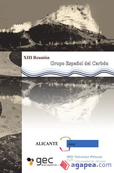XIII Reunión del grupo español del Carbón