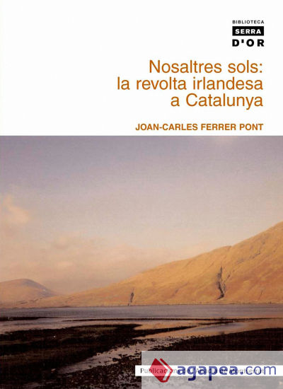 Nosaltres sols: la revolta irlandesa a Catalunya