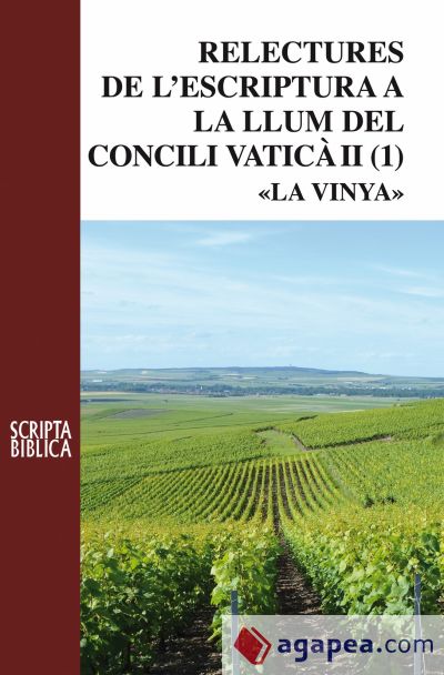 Relectures de l'escriptura a la llum del Concili Vaticà II : La vinya