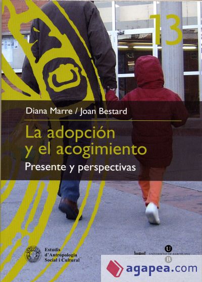 Adopción y el acogimiento: Presente y perspectivas, La