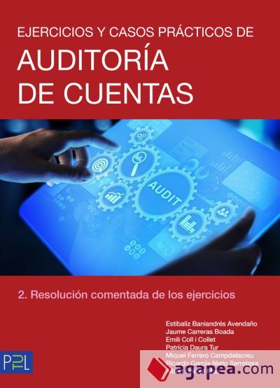 Ejercicios y casos pr&aacute;cticos de auditor&iacute;a de cuentas - tomo 2