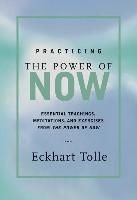 Portada de Practicing the Power of Now