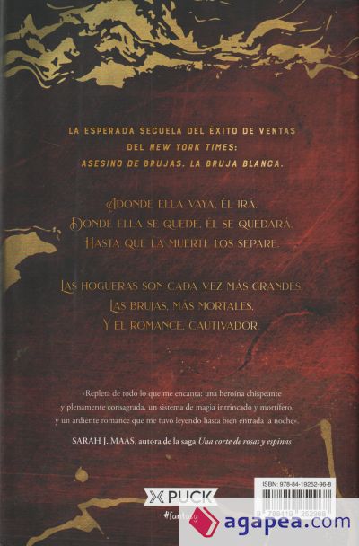 Asesino de brujas: Los hijos del rey. Edición limitada