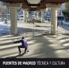 Puentes de Madrid. Técnica y cultura