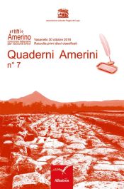 Portada de Quaderni Amerini n°7 (Ebook)