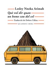 Portada de Què vol dir quan un home cau del cel