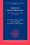 Quantum Chromodynamics High Energy Experiments and Theory (Paperback)