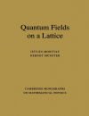 Quantum Fields on a Lattice