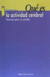 Qué es la actividad cerebral. Técnicas para su estudio