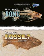 Portada de How Does a Bone Become a Fossil?