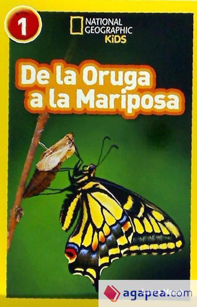 National Geographic Readers: de La Oruga a la Mariposa (Caterpillar to Butterfly)