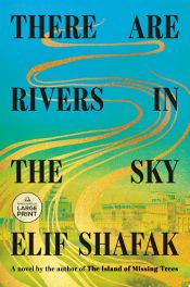 Portada de There Are Rivers in the Sky