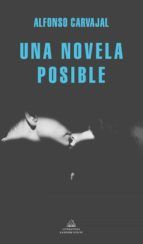 Portada de Una novela posible (Ebook)