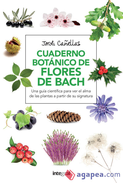 Cuaderno botanico flores de bach 2ª ed