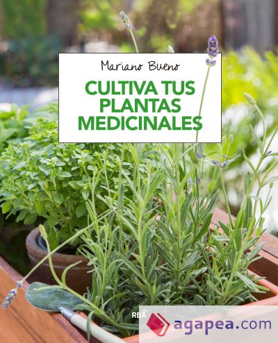 Cultiva tus plantas medicinales