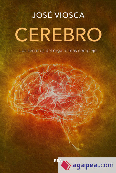 Cerebro