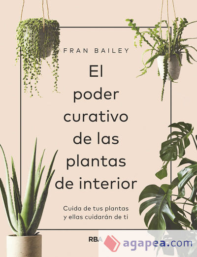 El poder curativo de las plantas de interior