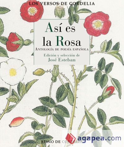 As&iacute; es la rosa