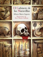 Portada de El gabinete de las maravillas