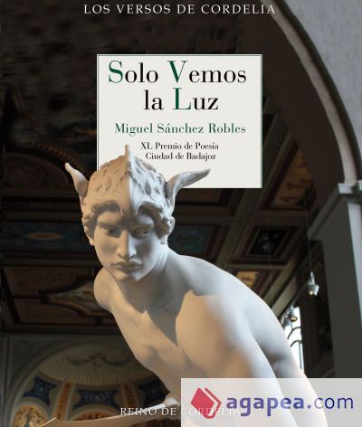 Solo vemos la luz Solo vemos la luz