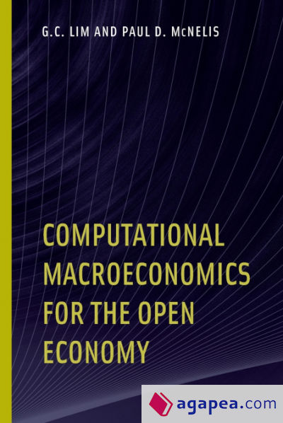 Computational Macroeconomics for the Open Economy