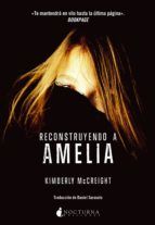 Portada de Reconstruyendo a Amelia (Ebook)