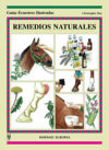 Remedios naturales