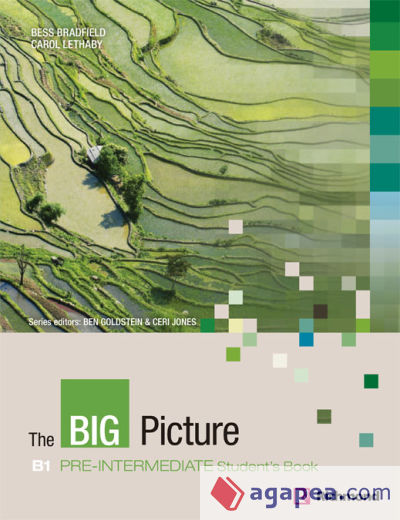 BIG PICTURE 2 STUDENT'S BOOK PRE-INTERMEDIATE NEW ED. [B1]