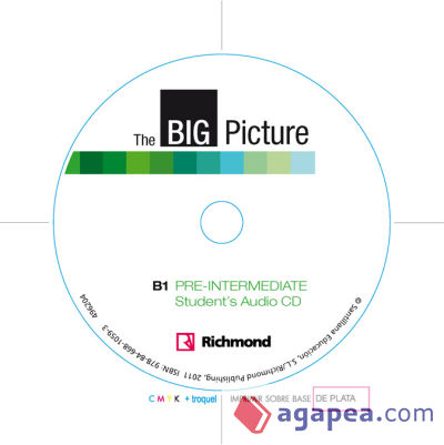 BIG PICTURE 2 WORKBOOK [B1]