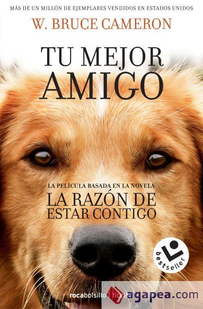 La raz&oacute;n de estar contigo