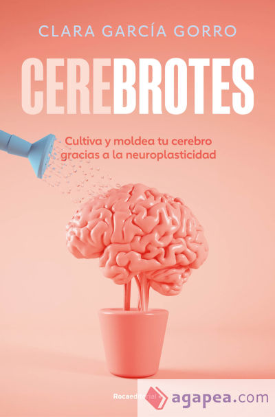 Cerebrotes