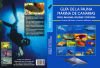 Guía De La Fauna Marina De Canarias