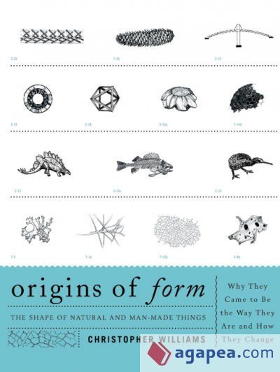 Origins of Form