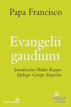 Portada de Evangelii Gaudium (Ebook)