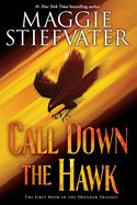 Portada de Call Down the Hawk (Dreamer Trilogy, Book 1), Volume 1