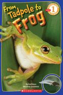 Portada de From Tadpole to Frog