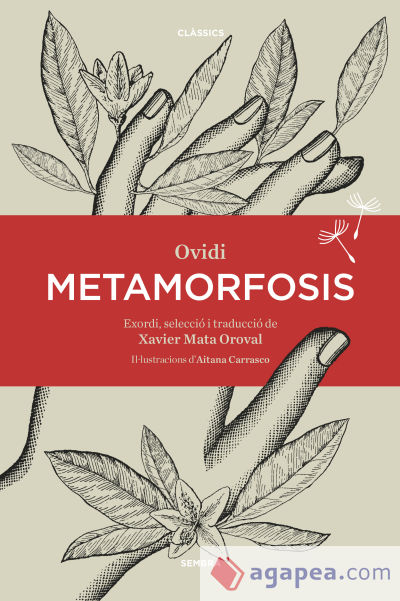 Metamorfosis