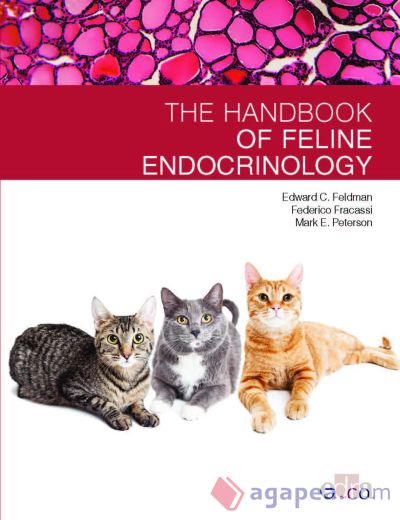 FELINE ENDOCRINOLOGY