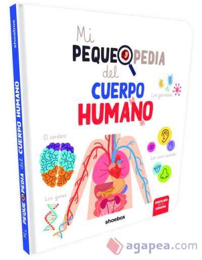 CUERPO HUMANO