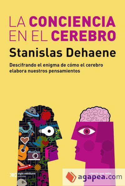 CONCIENCIA EN EL CEREBRO