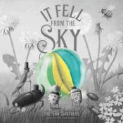 Portada de It Fell from the Sky