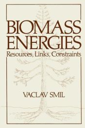 Portada de Biomass Energies