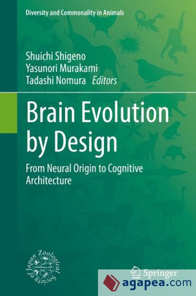 Brain Evolution by Design