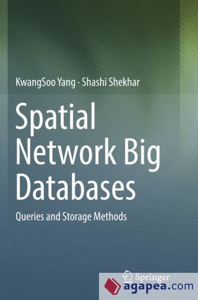 Spatial Network Big Databases