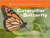 Portada de Caterpillar to Butterfly