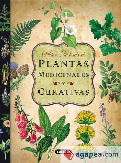 Atlas ilustrado de las plantas medicinales y curativas (Ebook)