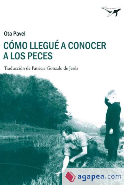 Cómo llegué a conocer a los peces