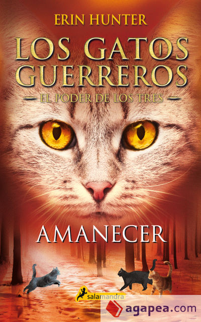 Amanecer (Los Gatos Guerreros | El Poder de los Tres 6)