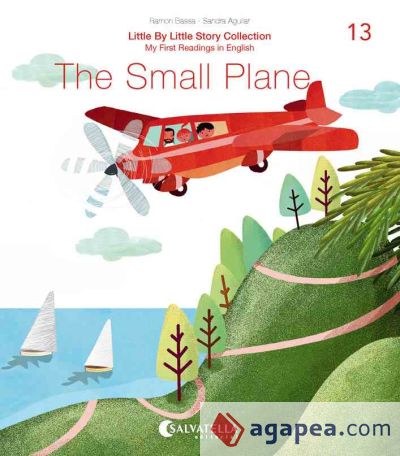 The Small Plane