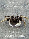 Portada de Wie man ... sich gegen Kritik wappnet [Mini-E-Buch] (Ebook)